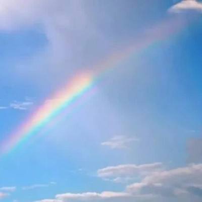 华体会体育下载手机版